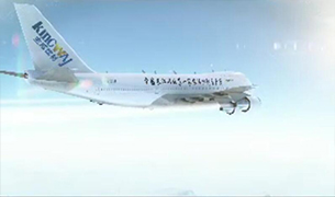 【創意】看飛機上的標志